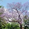 rourourita79