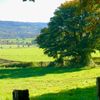 danny_1073