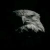 faisal_tx
