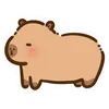 soonhuynh_sociu
