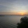 lili_mave