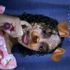 wini1524
