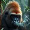 xtreamgorilla