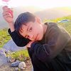 user254526683
