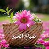 user2719816730533