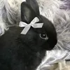 penguincortex