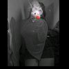 gomezz._r