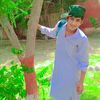 malik.hurair.diyal