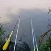 VM Fishing
