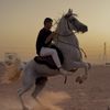 فهد الشمري🤍🐎