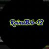 reinbro12