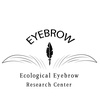 EyeBrow Stylist YiChen