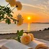 thuy.huynh347