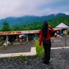 alyszln