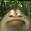 pussy5149