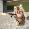 kotya.404