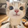 phuonglyne1