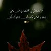 bint_e_ilyas_