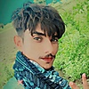 shamroz.khan69