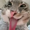 kemchinhh