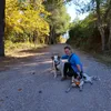 the.pawsitive.way
