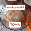 ternate_kombucha