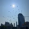 professionalragebaiter28