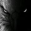 user1058300315976