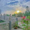 vinh60109