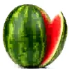 kauncik