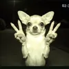 cuniuuuu12