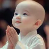 embe.dau2311