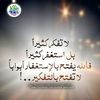 user8440185462388