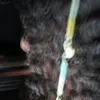 naoe_aemanuelly