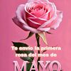 user822830770949