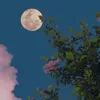 soso_7.25