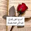 user5529134622355