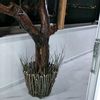 alibjk_2534