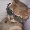 violet__lilyy