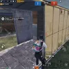 afrino75