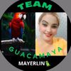 mayerlin.chiquinq