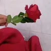 batoolaltaie