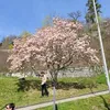 lenuta.nistor3