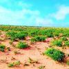 dheeman.ina.abdi