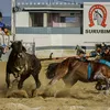 tuquinha304