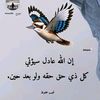 user521588039322