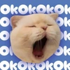 okokkokokokokokkookkoko