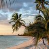 tropicalenchant