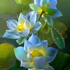 thienngatrang87