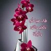 karm.aly